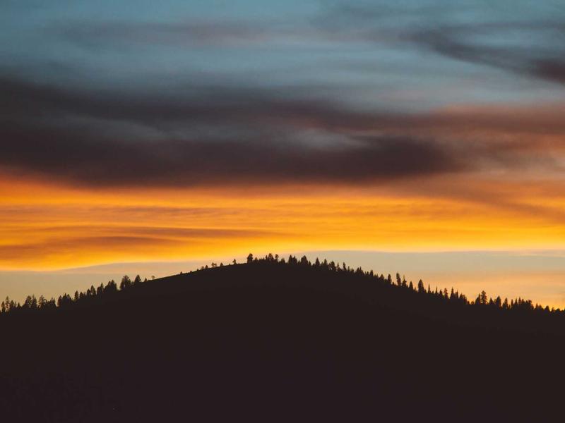 花开见佛<br>qyh4jna.cn 刹那顿悟时刻